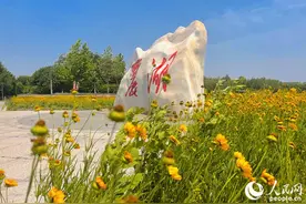 天津东丽湖：一汪碧水展新颜图片