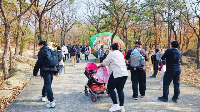 千车万人争打卡，沂蒙山龟蒙景区涌现初冬旅游热潮