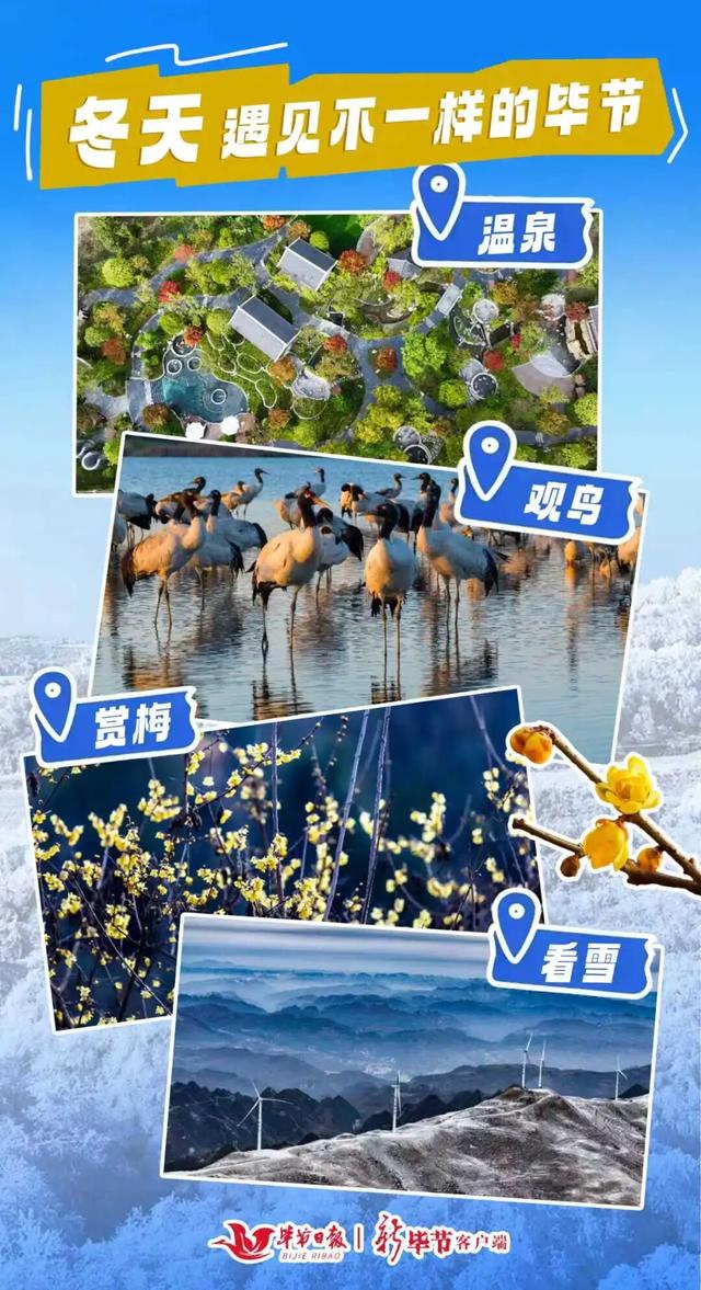 为什么冬天要来毕节？这就是答案→