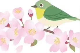 你被深圳的“自然闹钟”强制开机了吗？图片