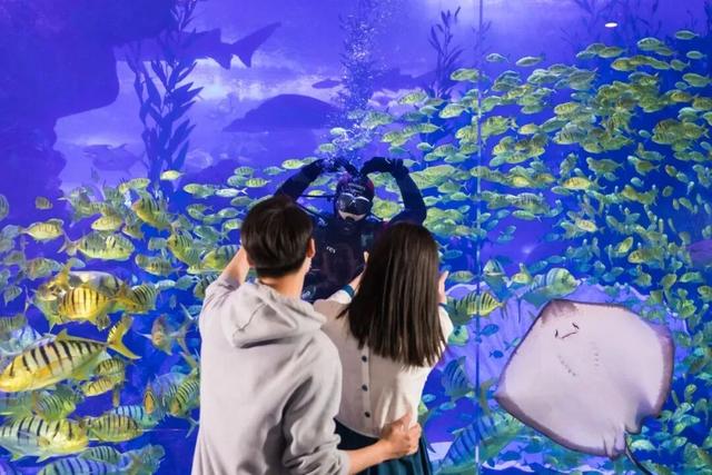 一张门票一日游，打包青岛冬日海底+海上精华的路线攻略来啦