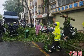 “潭美”远离海南岛 三亚部分景区仍暂停营业图片