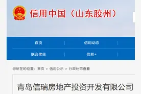 在禁止区域内搅拌混凝土、砂浆，青岛信瑞房地产投资开发有限公司被罚1万图片