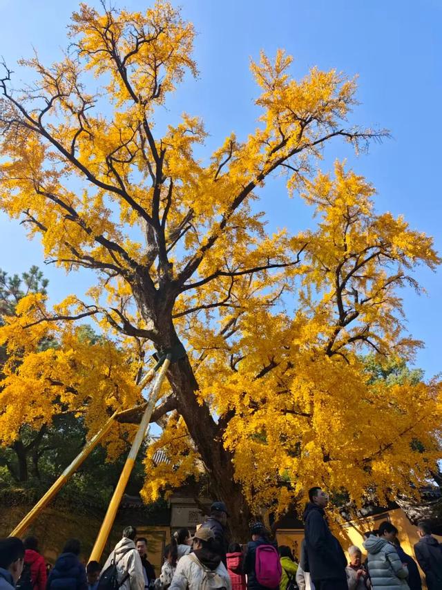 火！火！火！无锡这里被挤爆了！