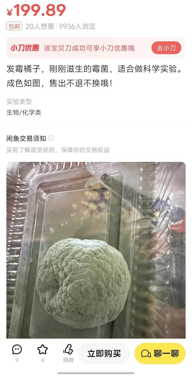 只有中年人还在把闲鱼当二手平台了