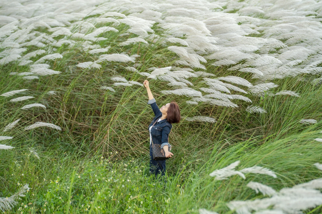 找到了！刷屏朋友圈的钦州“白色海洋”地址在这里→