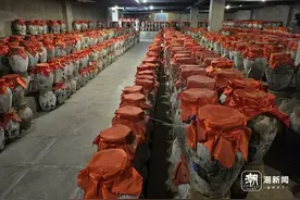 潮声丨南北黄酒，共酿好滋味图片