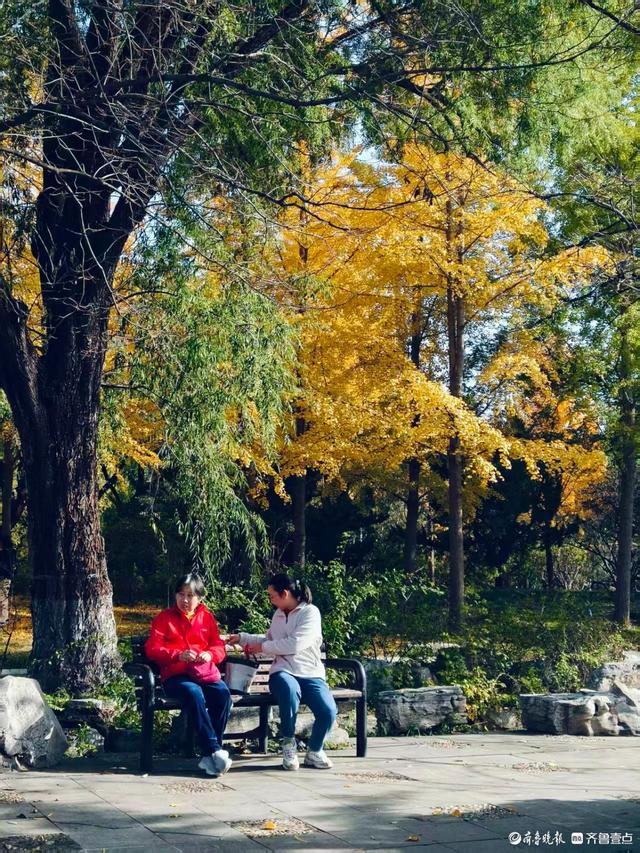 秋高气爽，金色泉城公园