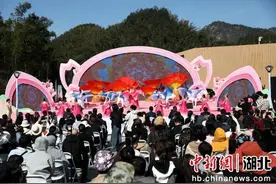 湖北咸安：万亩樱花盛放 文旅盛宴启幕图片