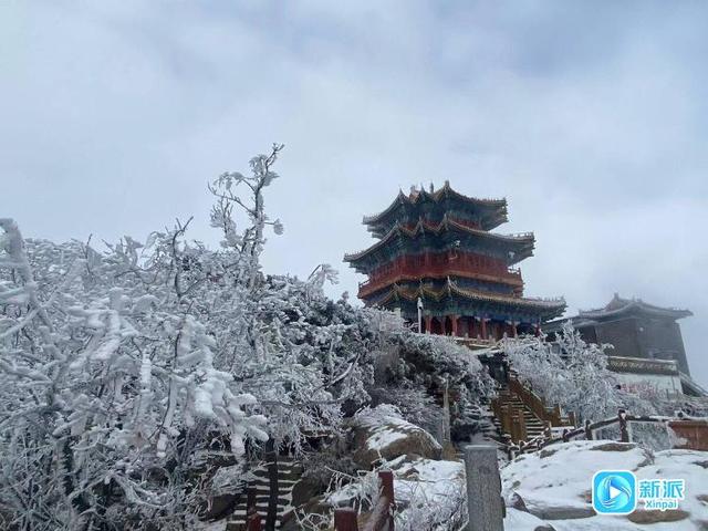 一眼心动！沂山再现雾凇奇观
