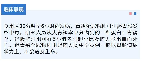 三亚3人中毒，国内首次发现！这种蘑菇千万不能吃！