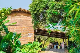 罗浮山下“空心村”到3A级景区的蝶变“新”生图片