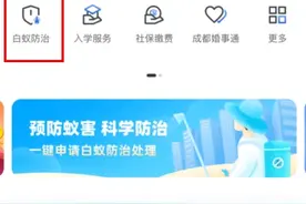 成都进入白蚁分飞期 几招教你如何对付家中烦人的“飞蚂蚁”图片