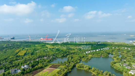 江苏双节文旅：超6000万人次游客，消费近645亿元！