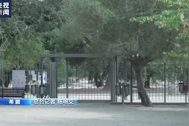 遭遇极端高温 希腊著名景点临时关闭图片