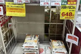 日本“米荒”背后的政策迷局与消费者困境图片
