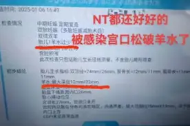 怀9胞胎女子，最新消息传来！丈夫：努力了这么久，还是没保住图片