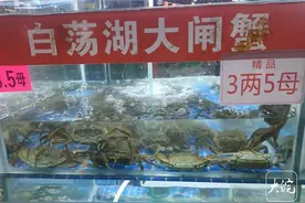 池州螃蟹价格有所降，医生提醒吃时要注意方式方法图片
