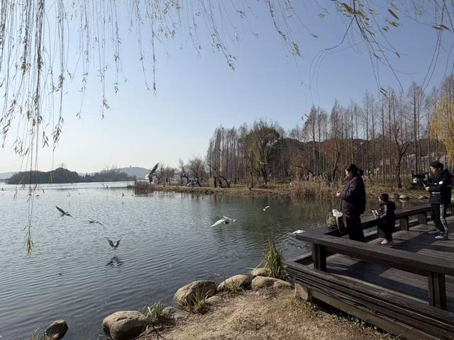 太湖治理传来好消息，且看无锡如何打出“组合拳”