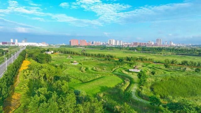 南海新区：古法盐田铺展五彩画卷