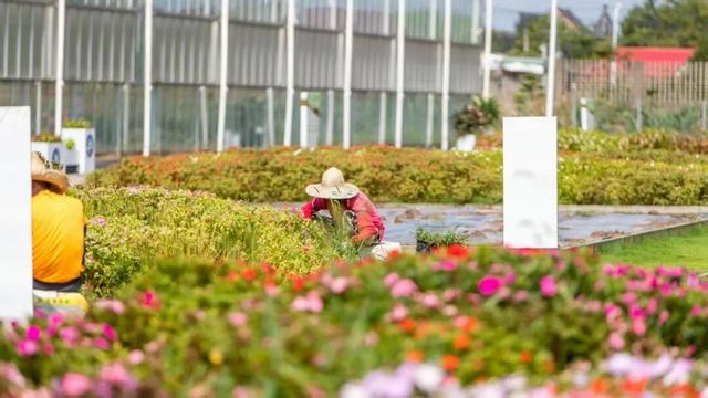 9条乡村旅游线路，就按这个玩…