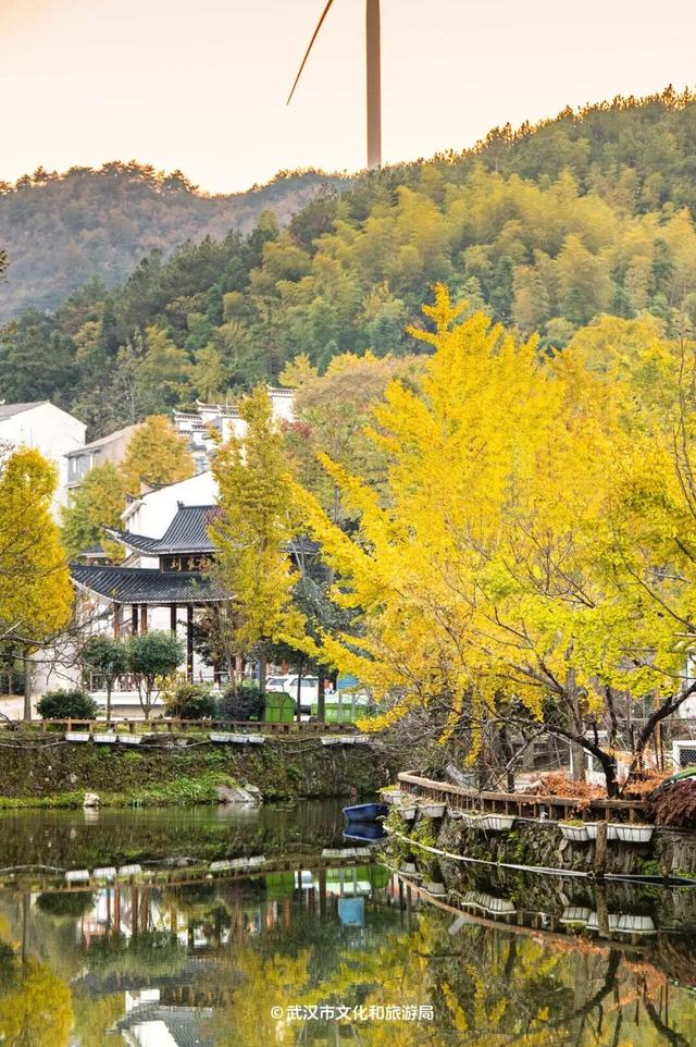 马上过节，武汉多家景区免票！