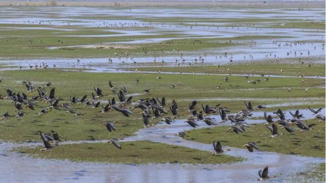旋转！跳跃！新疆塔城地区在沪 “快闪” 推广，盛邀上海市民游客探索“油画塔城 草原圣地”