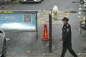 外面的世界更精彩？还是妈妈的怀抱更温暖！图片