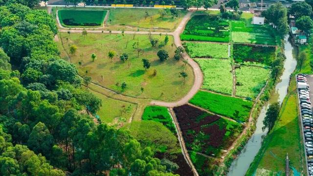 运动、遛娃、拍照全安排！东莞人“家门口”又上新了