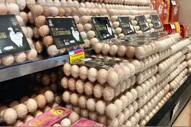 进入“3”字头，哈市近期蛋价大降！还会再涨吗？业内人士称↘图片