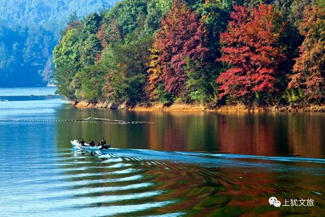这个周末，来赣州一起“森”呼吸！