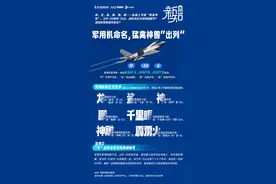 神、龙、鲨、鹰、鹏……我国军用机命名，猛禽神兽“出列”图片