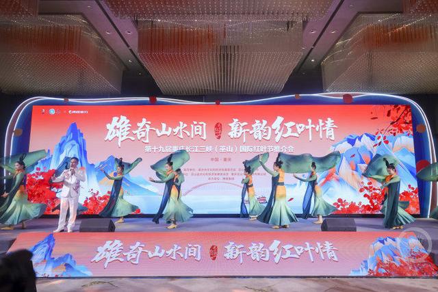 4条线路、5大亮点……快来一场说走就走的“红叶之旅”