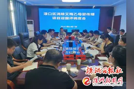 渌口区召开全区消除艾梅乙母婴传播项目迎国评调度会图片