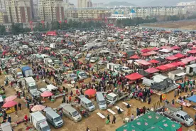 新春走基层丨供需两旺！土味大集“圈粉”不停图片