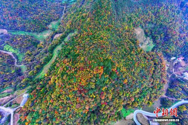 湖北恩施：红黄绿黛绘斑斓