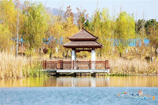 出发！抓住秋天的尾巴！威海“拾秋地图”上新啦