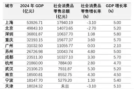 2024城市消费数据盘点：腰部城市抢眼，珠三角消费承压图片