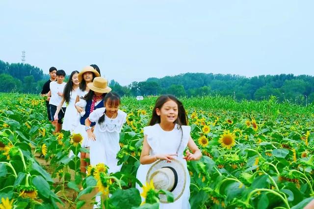 金秋艺术新地标！平谷金色葵海等你来打卡