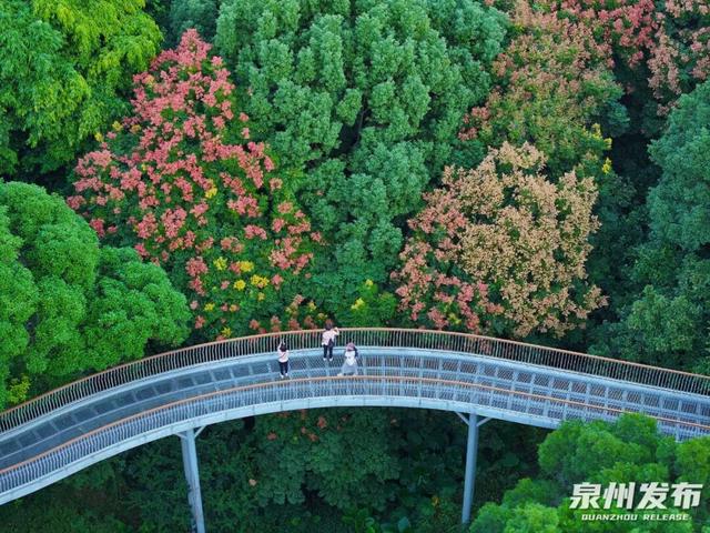 重阳游泉州：名山多趣，玩法上新！
