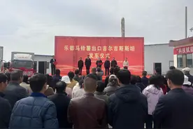青海乐都马铃薯首次出口中亚地区图片