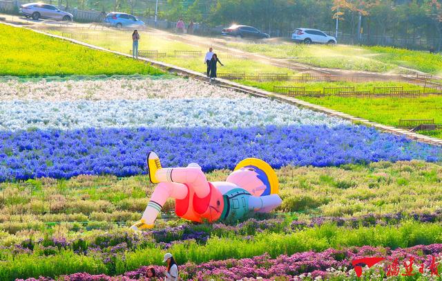 春暖，共赴花海