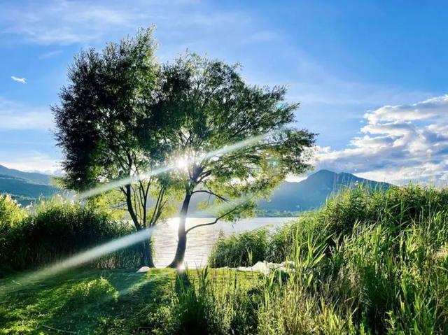 游客盛赞“20°C的丽江”：去奔赴山海 寻觅夏日清凉