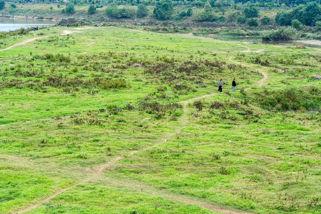 秋游白沙河草甸