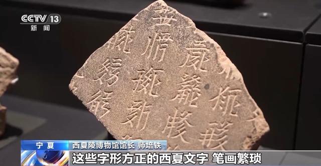 这些“熟悉”的字你会念吗？一起来学习西夏语