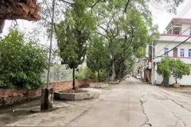2023年度“广州市美丽乡村”出炉，23条村上榜图片