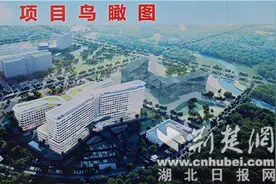 “强强携手”共建国家区域医疗中心 同济医院襄阳医院（筹）揭牌图片