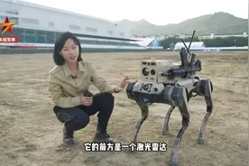 “机器狗”过气？“机器狼”亮相航展图片