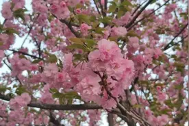 最低零下5℃、大雨局地暴雨！陕西发布重要天气预报，一地延长供暖图片