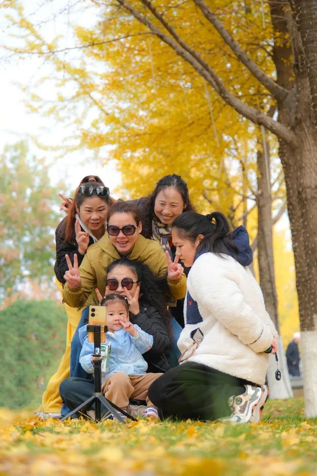 11月，是时候来一趟徐州了